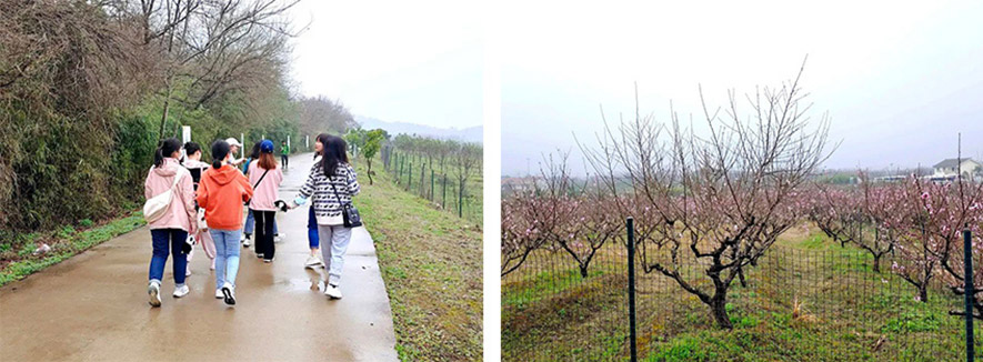 盼盼木業(yè)集團(tuán)旗下品牌